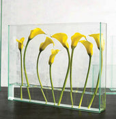 Texture Designideas (Vases)