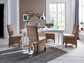 Novasolo Dining Chairs