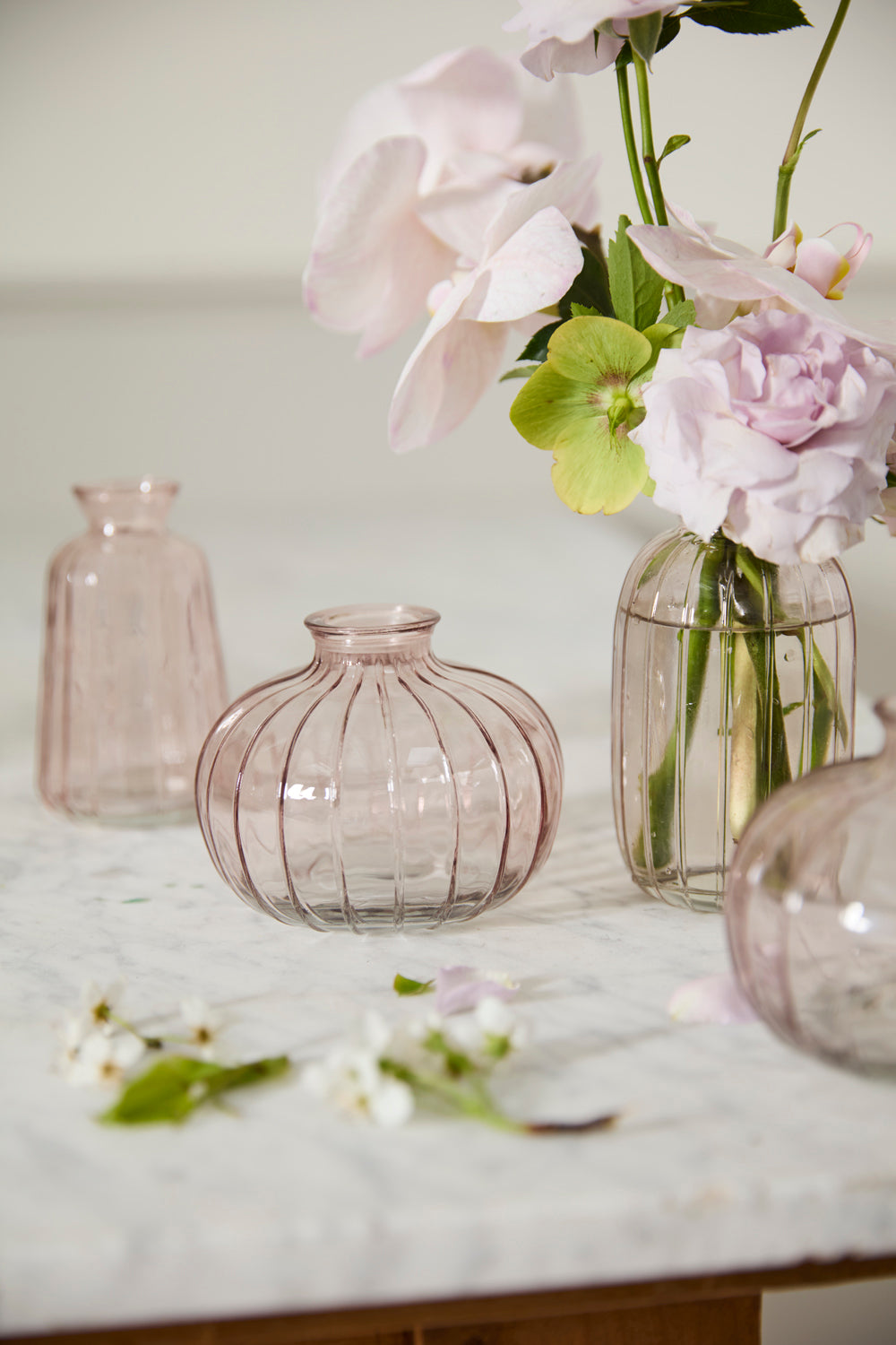 Livi Budvase - Set of 12 By Accent Decor | Vases | Modishstore - 7