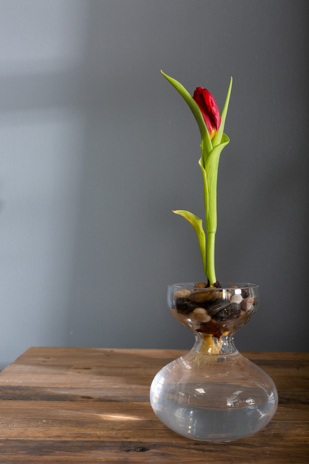 Ashby Vase Set of 4 By Accent Decor | Vases | Modishstore - 9