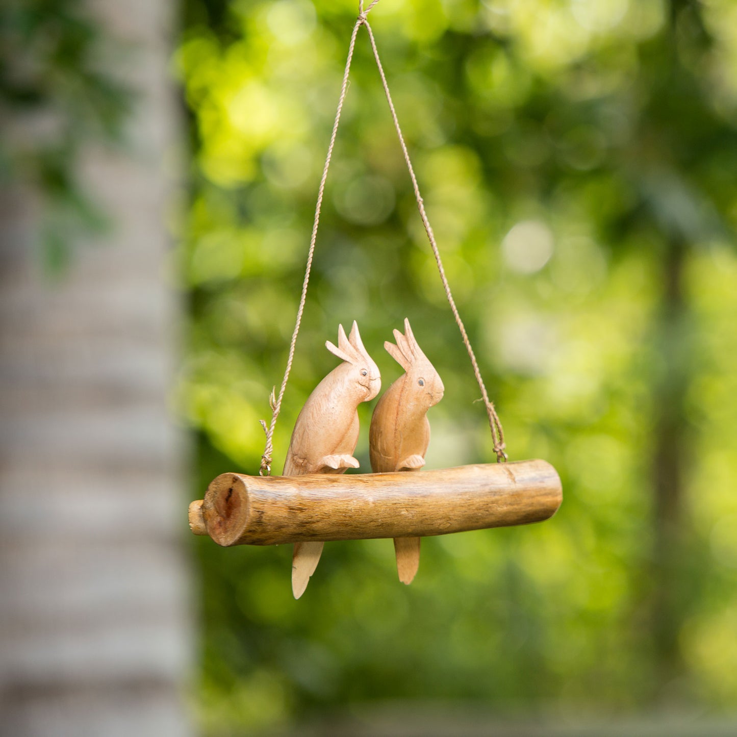 Parasite Cotato Double Hanging Set of 4 By Garden Age Supply