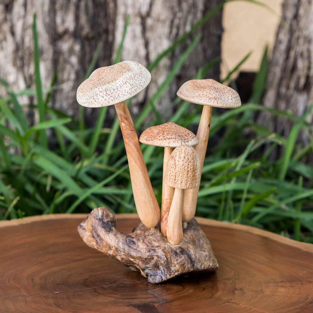 Parasite Beech Mushrooms Set of 4 By Garden Age Supply