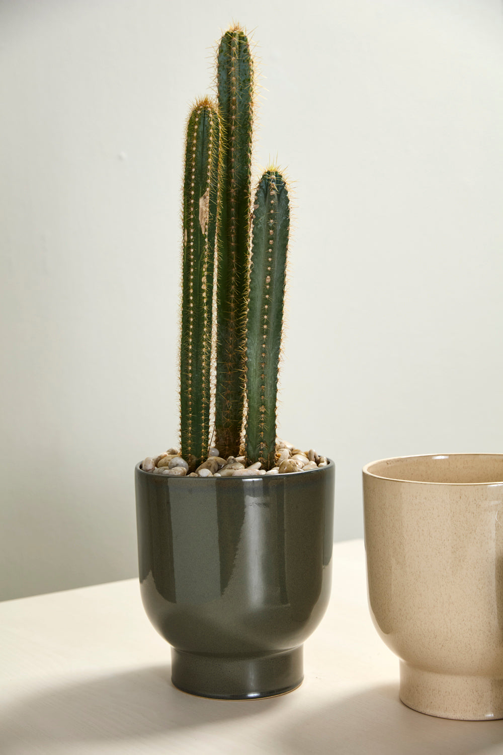 Fischer Pot Set of 8 By Accent Decor | Planters, Troughs & Cachepots | Modishstore - 19