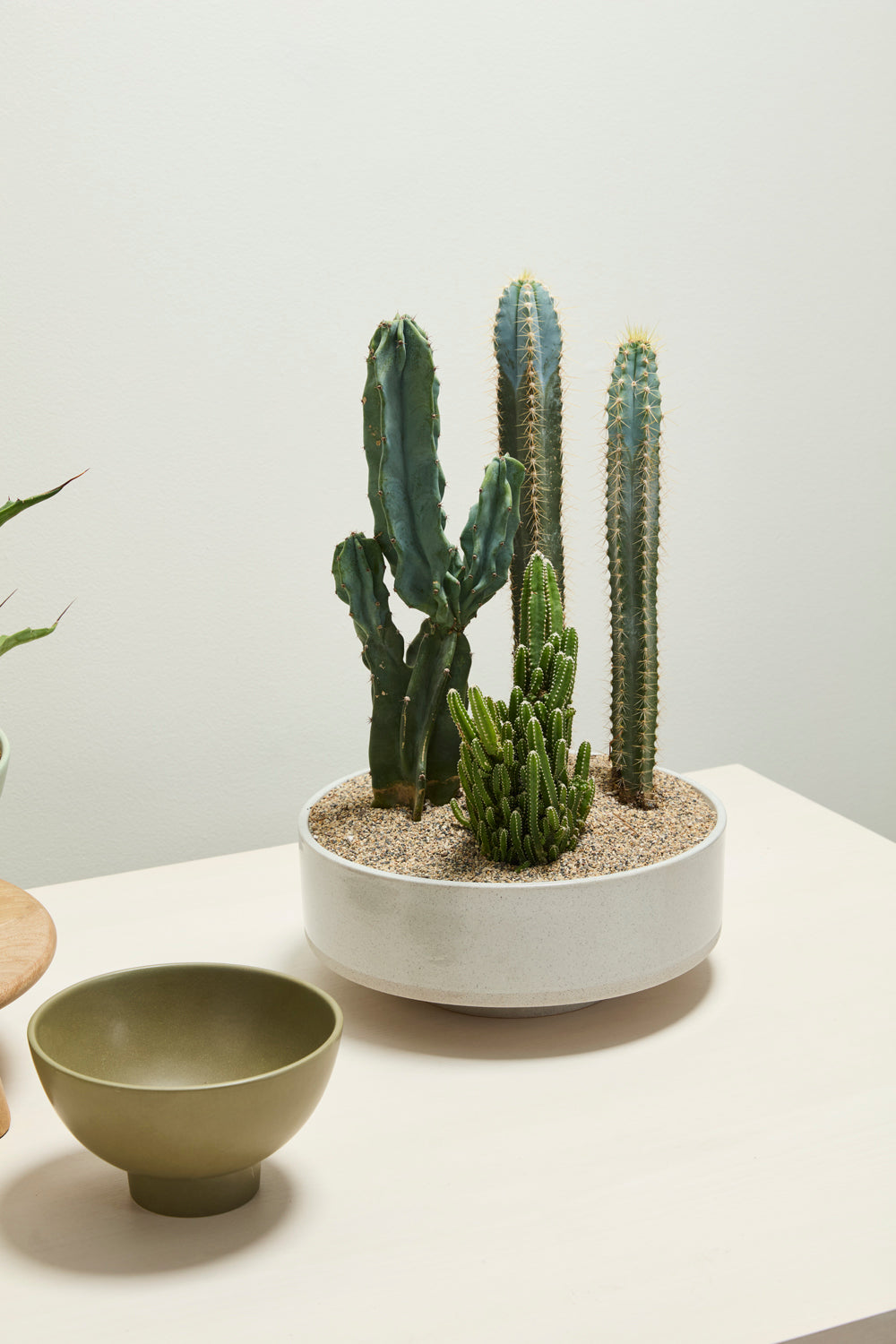 Inventor Bowl By Accent Decor | Decorative Bowls | Modishstore - 5