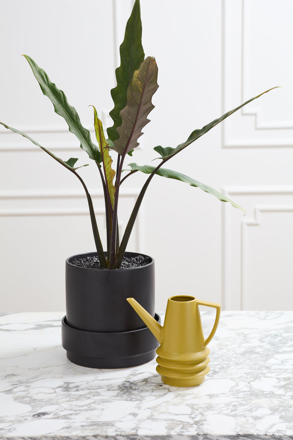 Laken Watering Can Set of 2 By Accent Decor | Stands | Modishstore - 4