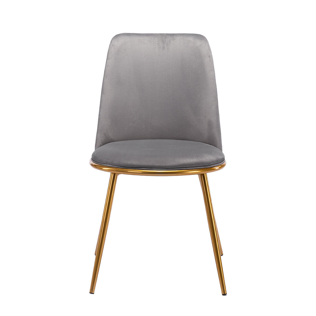 Gray And Gold Upholstered Velvet Dining Side Chair By Homeroots | Dining Chairs | Modishstore - 6