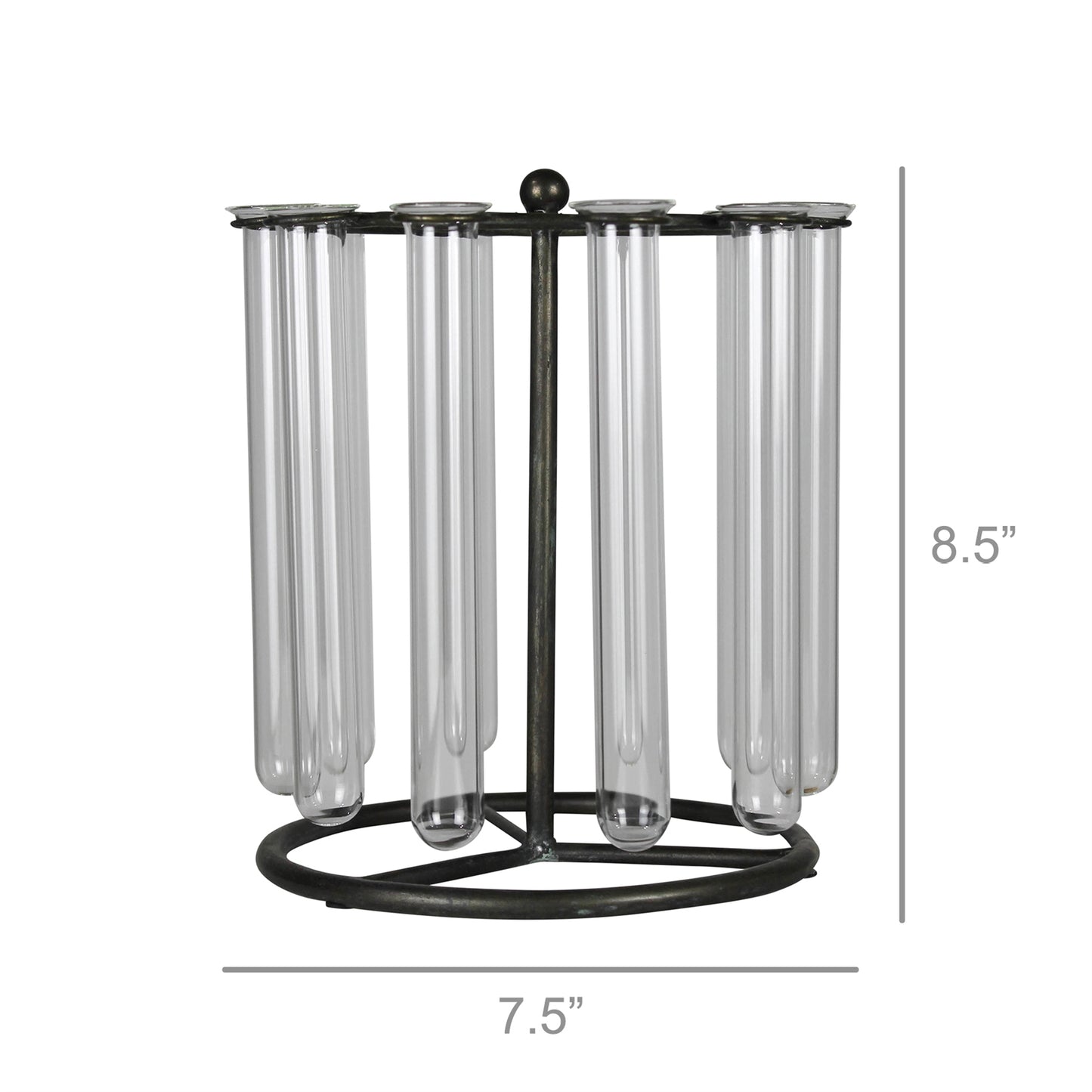 Archer Tube Floral Display, Glass & Metal By HomArt | Display Cases | Modishstore - 3