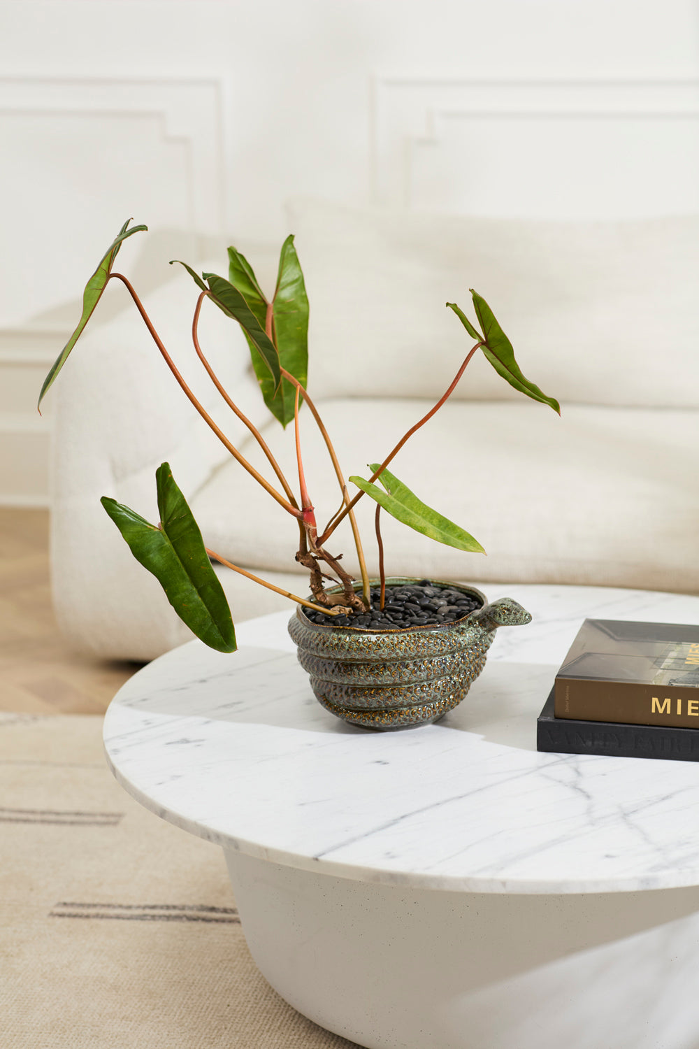 Boa Bowl By Accent Decor | Decorative Bowls | Modishstore - 4