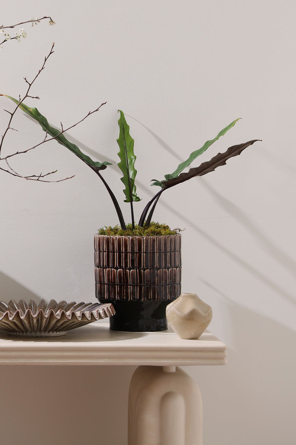 Kasra Pot By Accent Decor | Wall Decor | Modishstore - 10