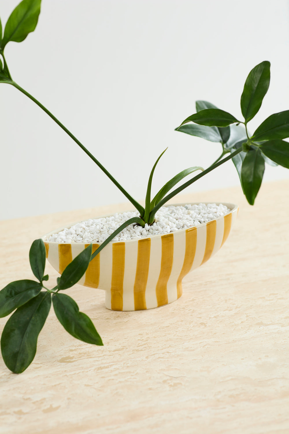 Saffron Boat Set of 2 By Accent Decor | Planters, Troughs & Cachepots | Modishstore - 4
