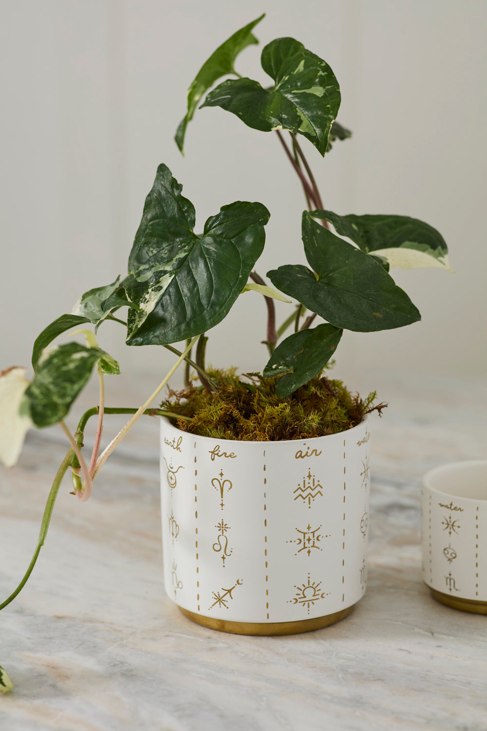 Elemental Pot Set of 8 By Accent Decor | Planters, Troughs & Cachepots | Modishstore - 7