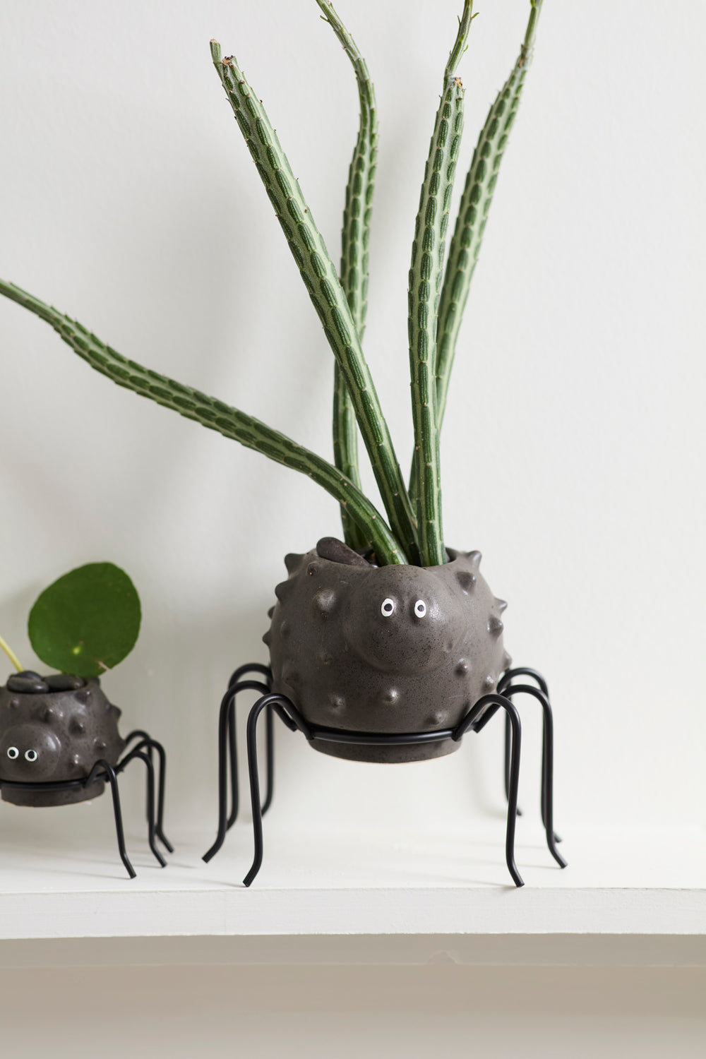 Silly Spider Pot Set of 8 By Accent Decor | Planters, Troughs & Cachepots | Modishstore - 9