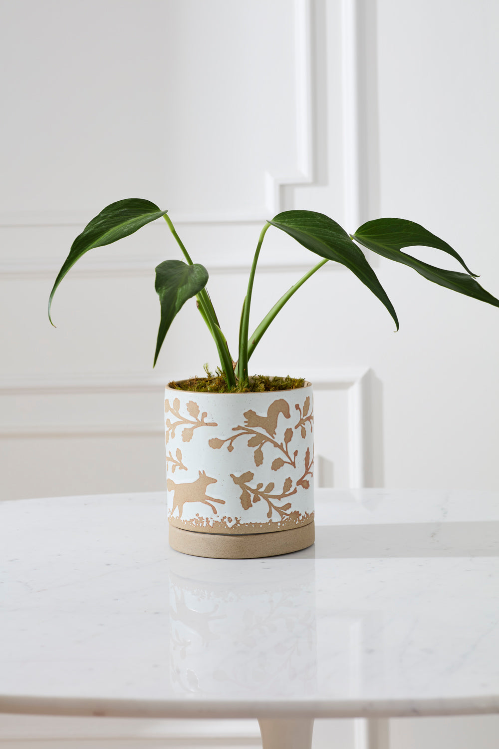 Foxtail Pot with Saucer Set of 4 By Accent Decor | Planters, Troughs & Cachepots | Modishstore - 8