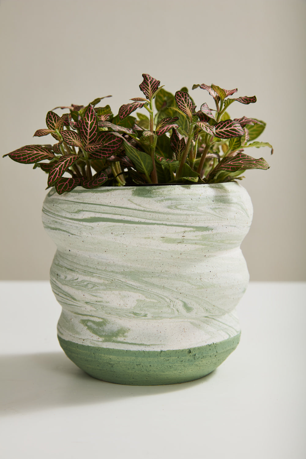 Greenway Pot Set of 2 By Accent Decor | Stands | Modishstore - 4