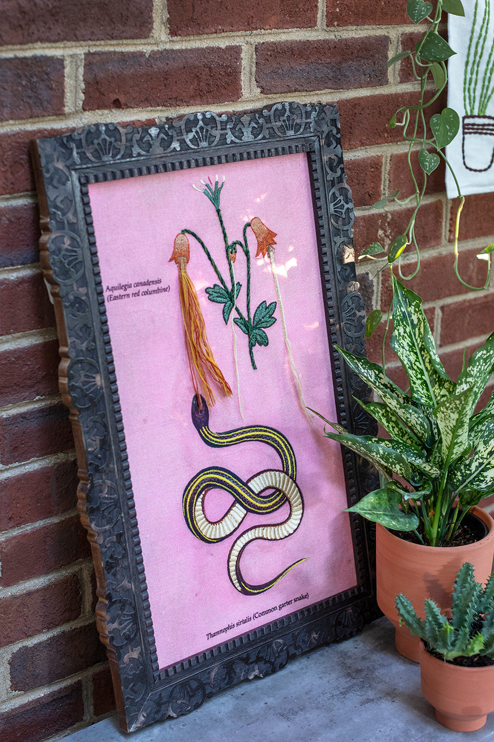 Vipera Wall Art By Accent Decor | Wall Art | Modishstore - 5