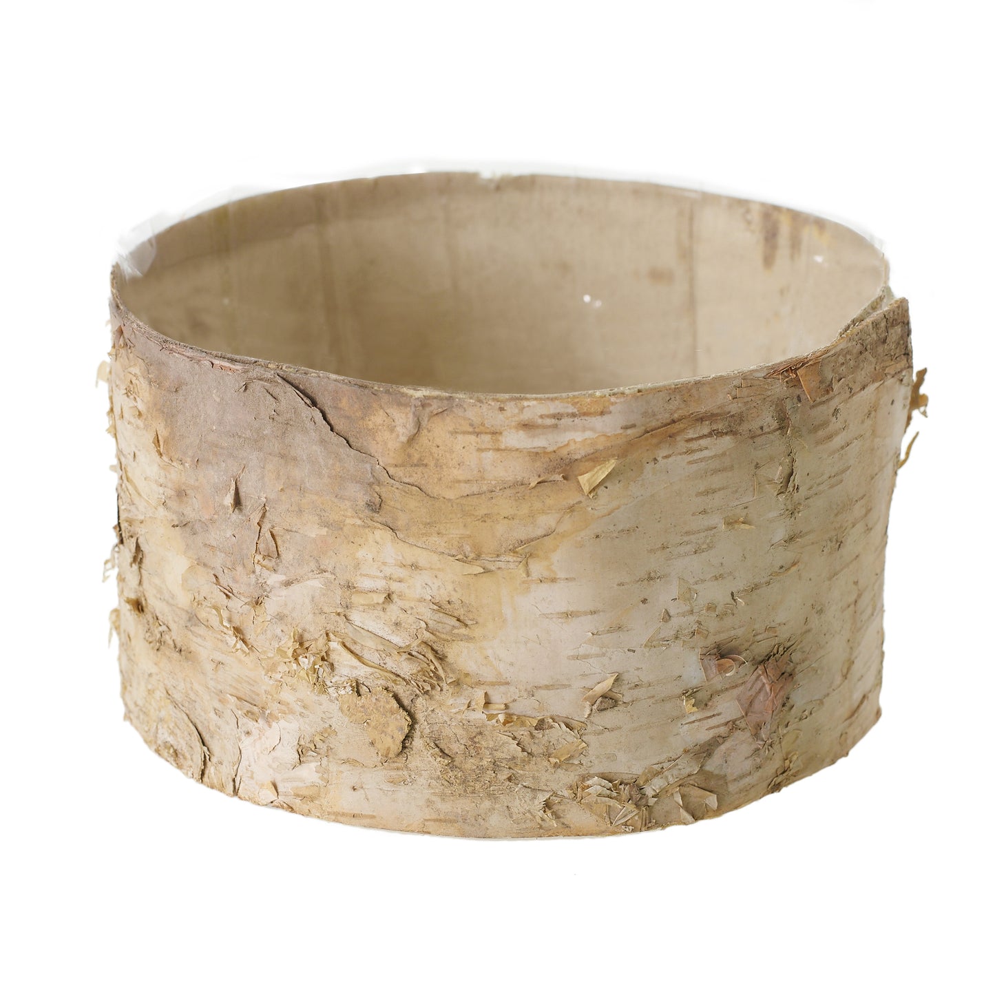 Birch Cylinder Set of 8 By Accent Decor | Vases | Modishstore - 9