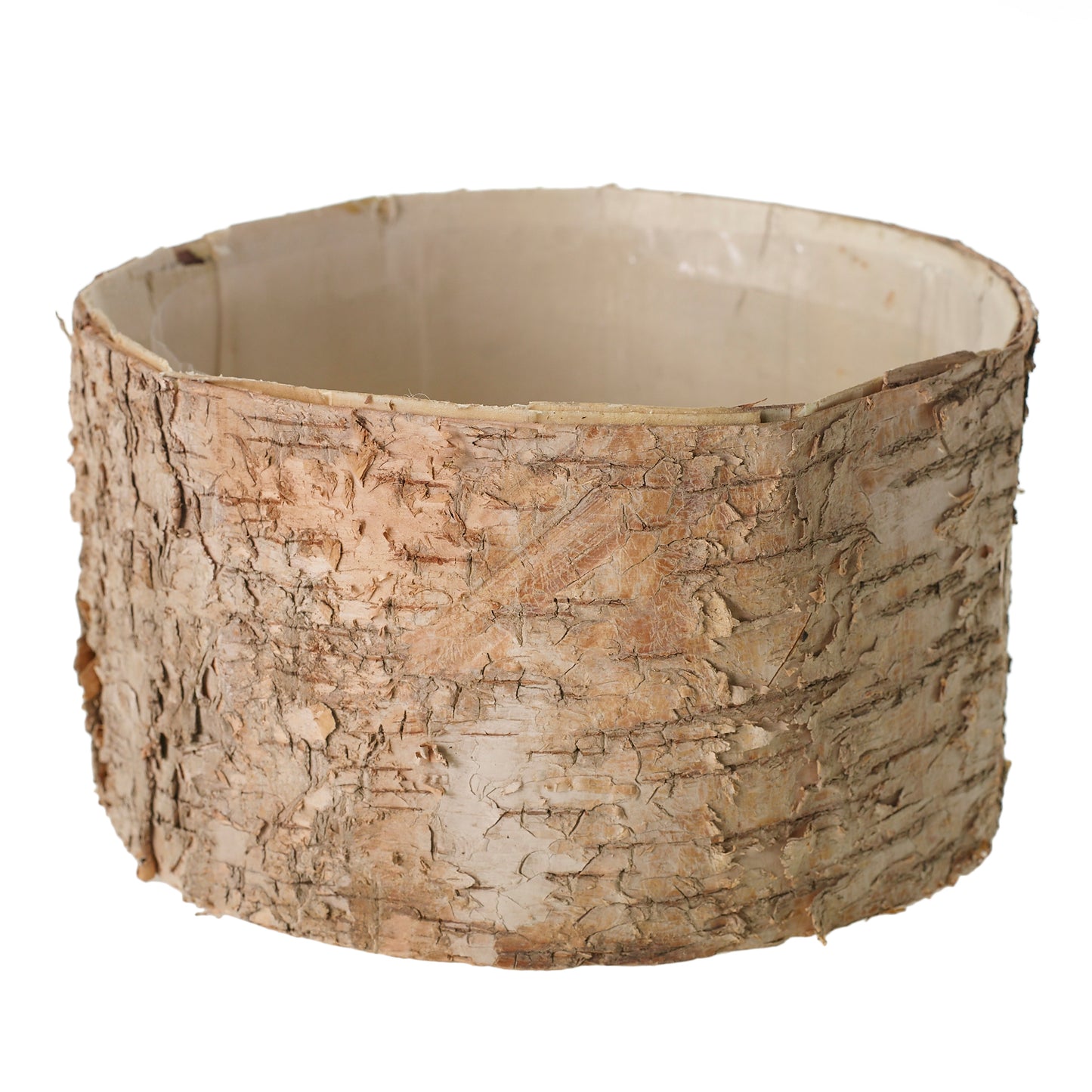 Birch Cylinder Set of 8 By Accent Decor | Vases | Modishstore - 10