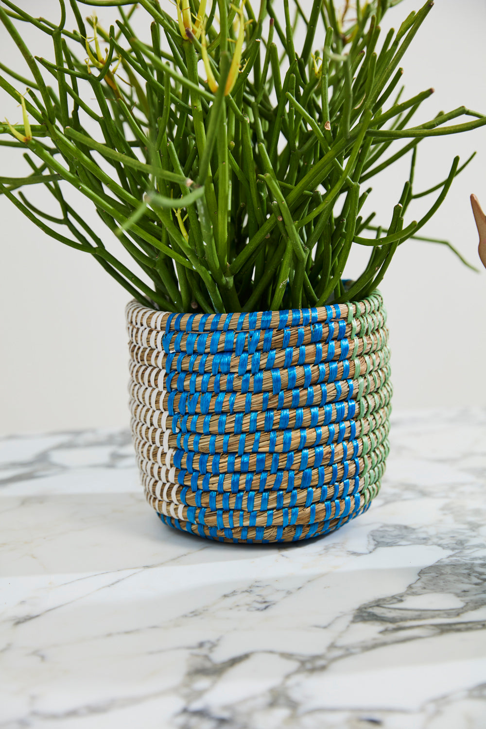 Aqua Basket - Set of 4 By Accent Decor | Stands | Modishstore - 6