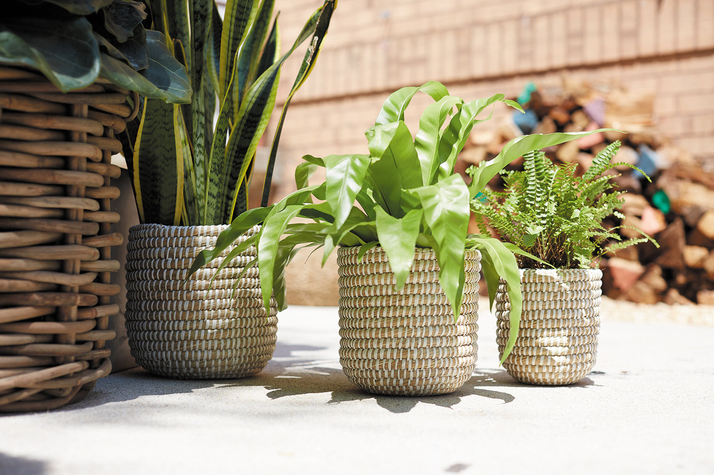 Tejida Basket Set of 4 By Accent Decor | Bins, Baskets & Buckets | Modishstore - 17