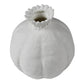 Poppy Pod Vase, Bone China Set Of 4 By HomArt | Vases | Modishstore - 4