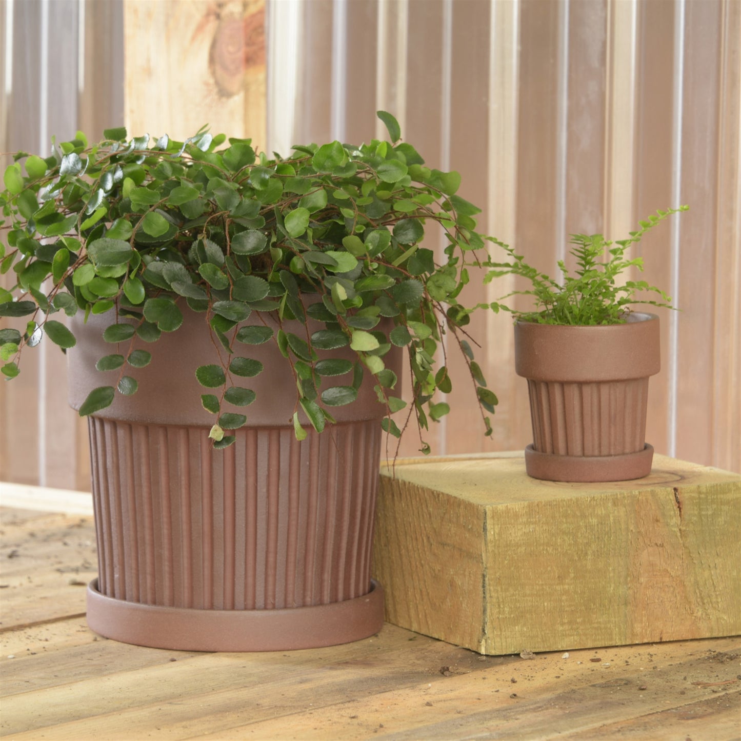 Ribbed Clay Pot & Saucer - Large - Brown Clay Set Of 4 By HomArt | Planters, Troughs & Cachepots | Modishstore - 6