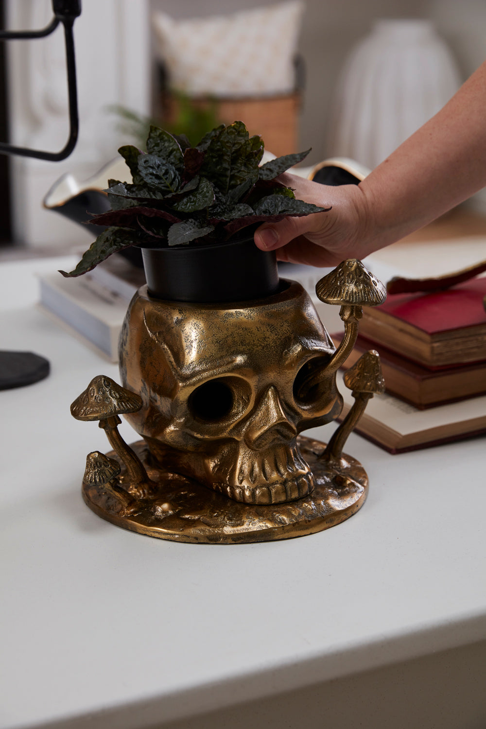 Cranium Pot By Accent Decor | Planters, Troughs & Cachepots | Modishstore - 4