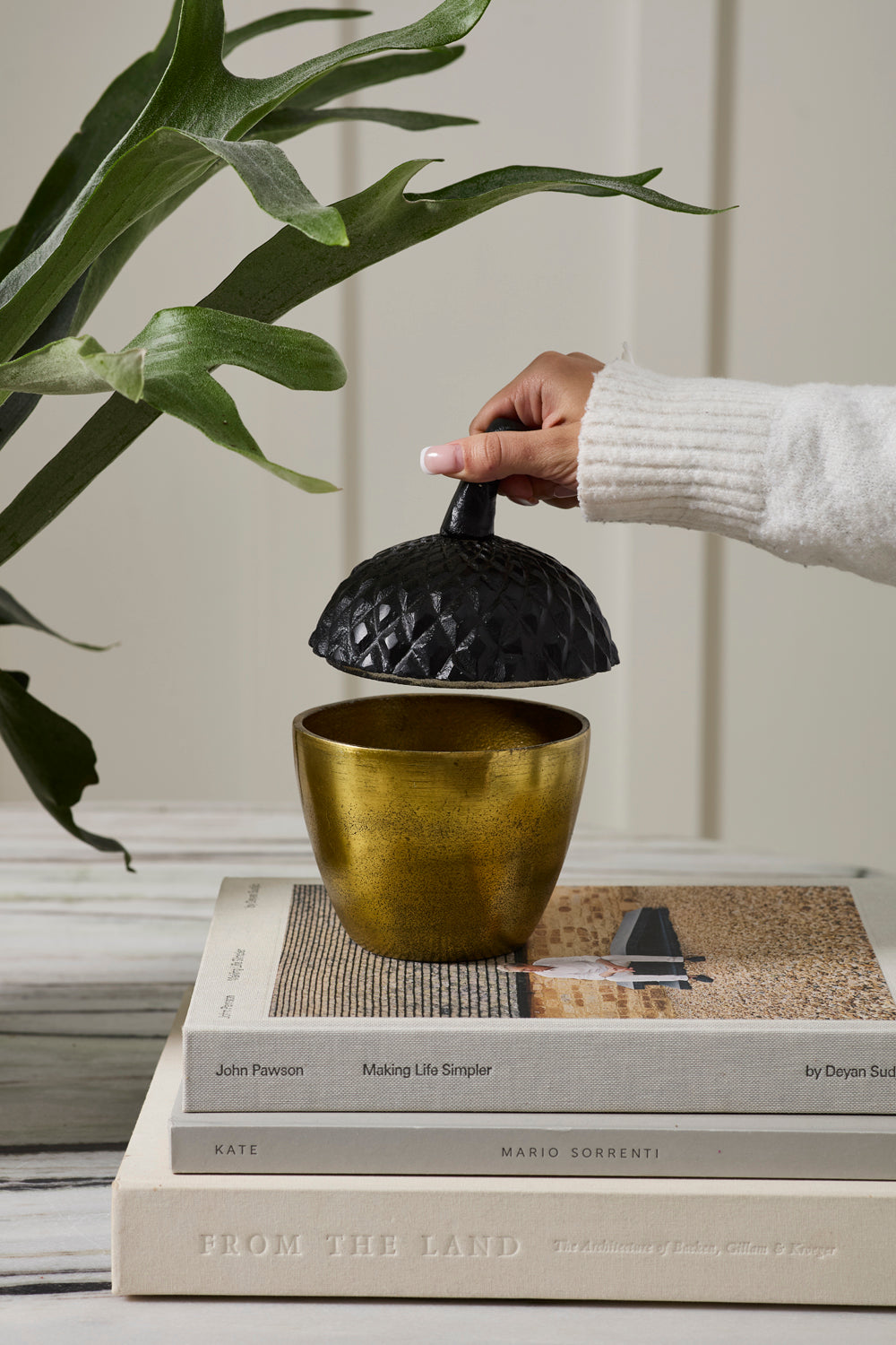 Acorn Stash Lidded Box Set of 2 By Accent Decor | Planters, Troughs & Cachepots | Modishstore - 4