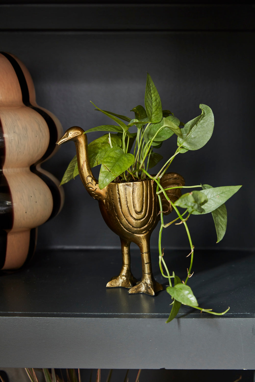 Ostrich Pot Set of 2 By Accent Decor | Planters, Troughs & Cachepots | Modishstore - 4