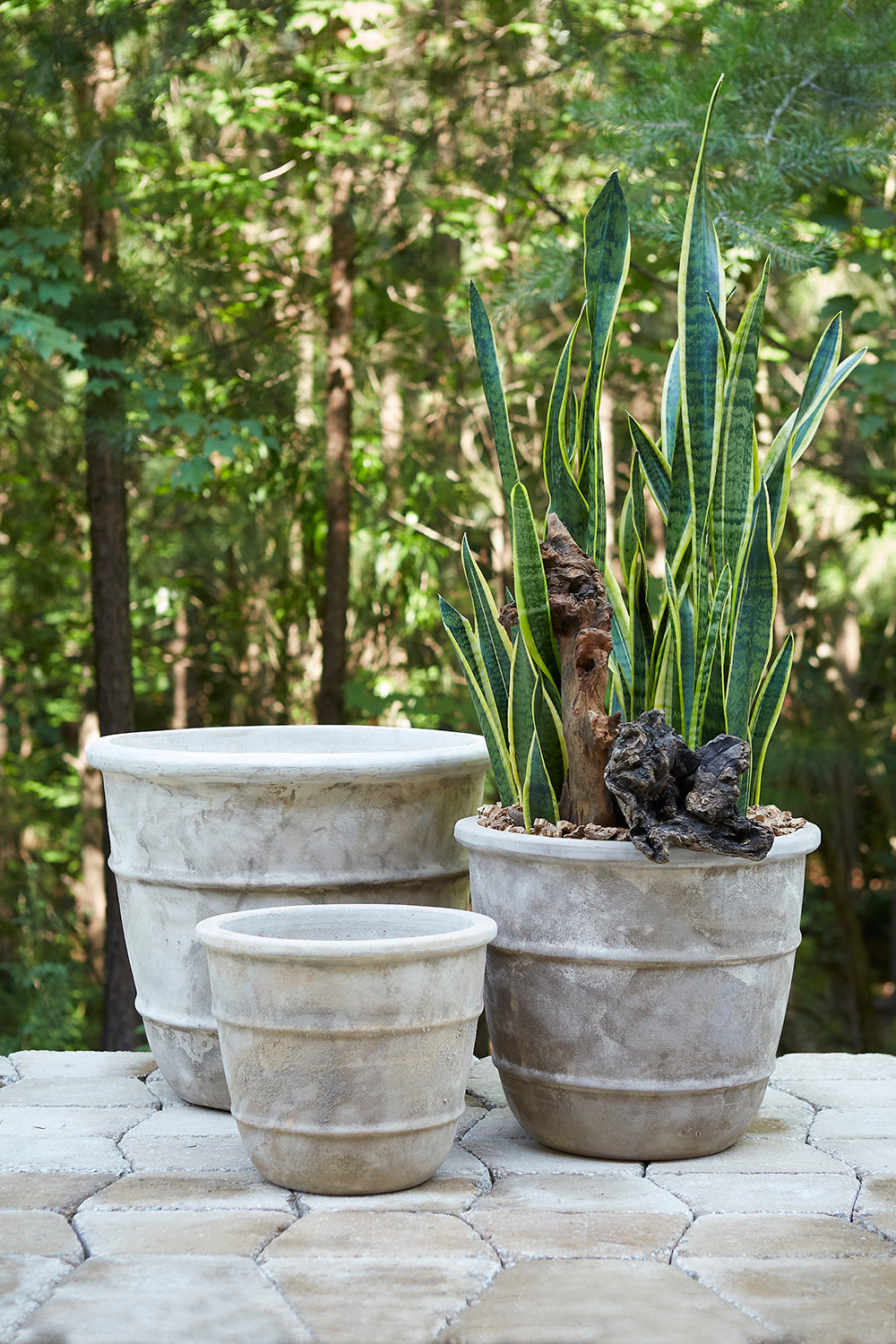 Monteclair Planter By Accent Decor | Planters, Troughs & Cachepots | Modishstore - 10