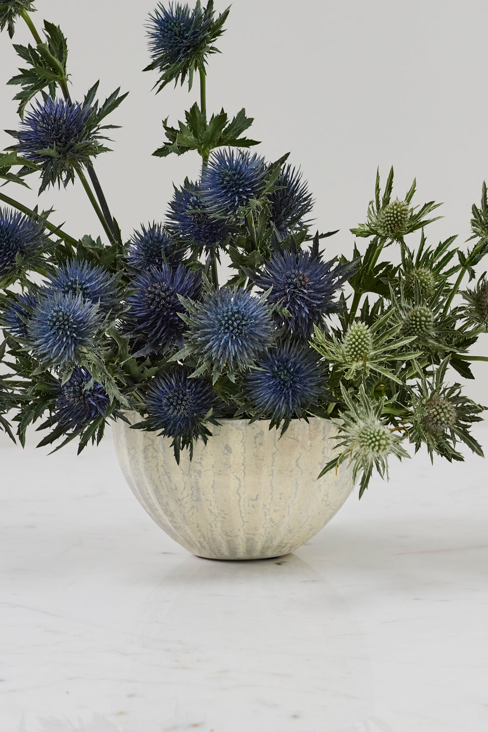 Monarch Bowl Set of 8 By Accent Decor | Decorative Bowls | Modishstore - 13