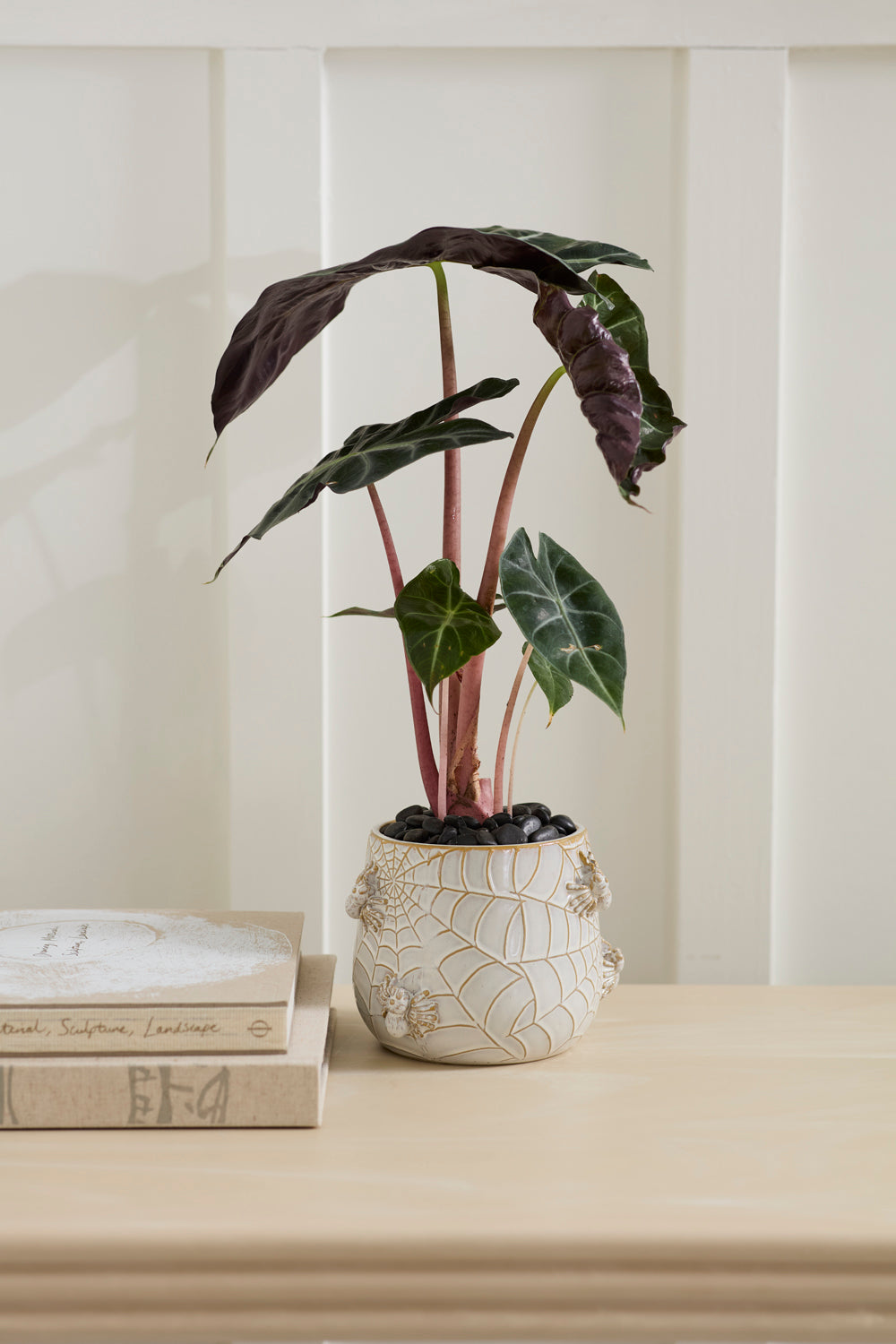 House Spider Pot Set of 4 By Accent Decor | Planters, Troughs & Cachepots | Modishstore - 11