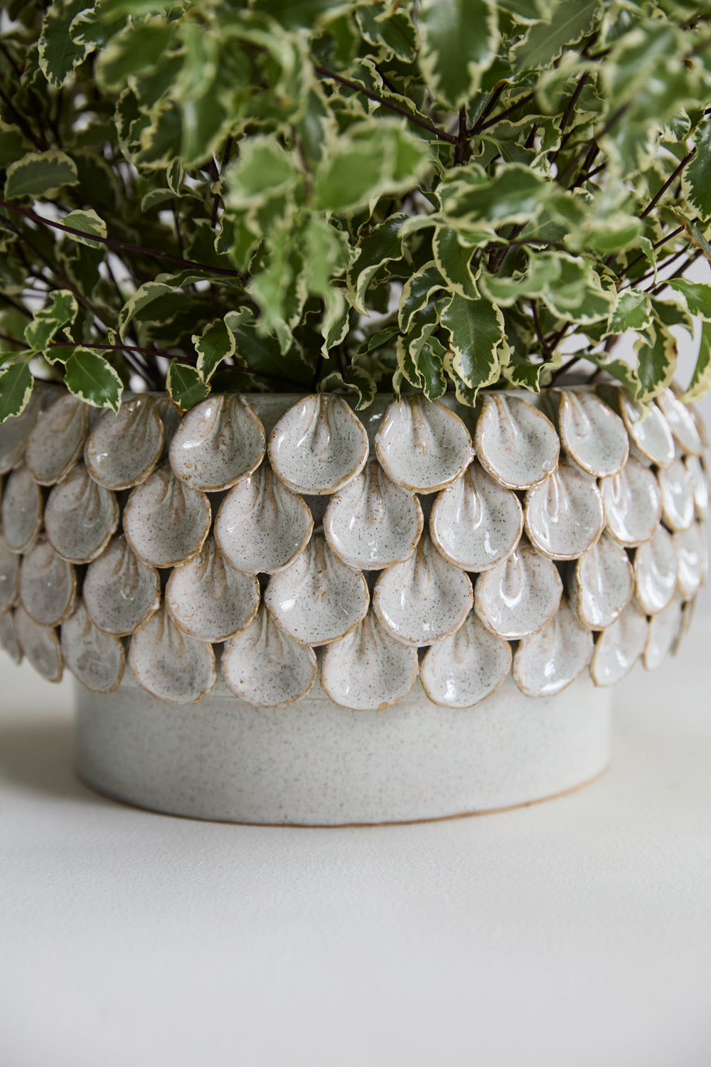Mirabai Bowl By Accent Decor | Decorative Bowls | Modishstore - 7