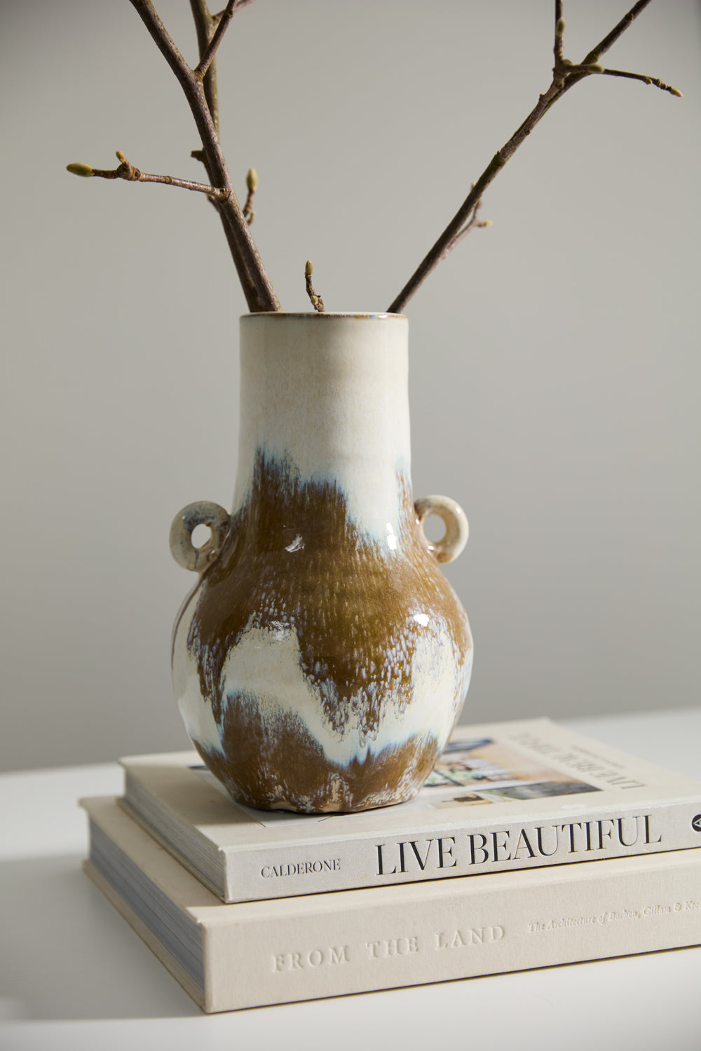 Ulysses Vase Set of 2 By Accent Decor | Vases | Modishstore - 6