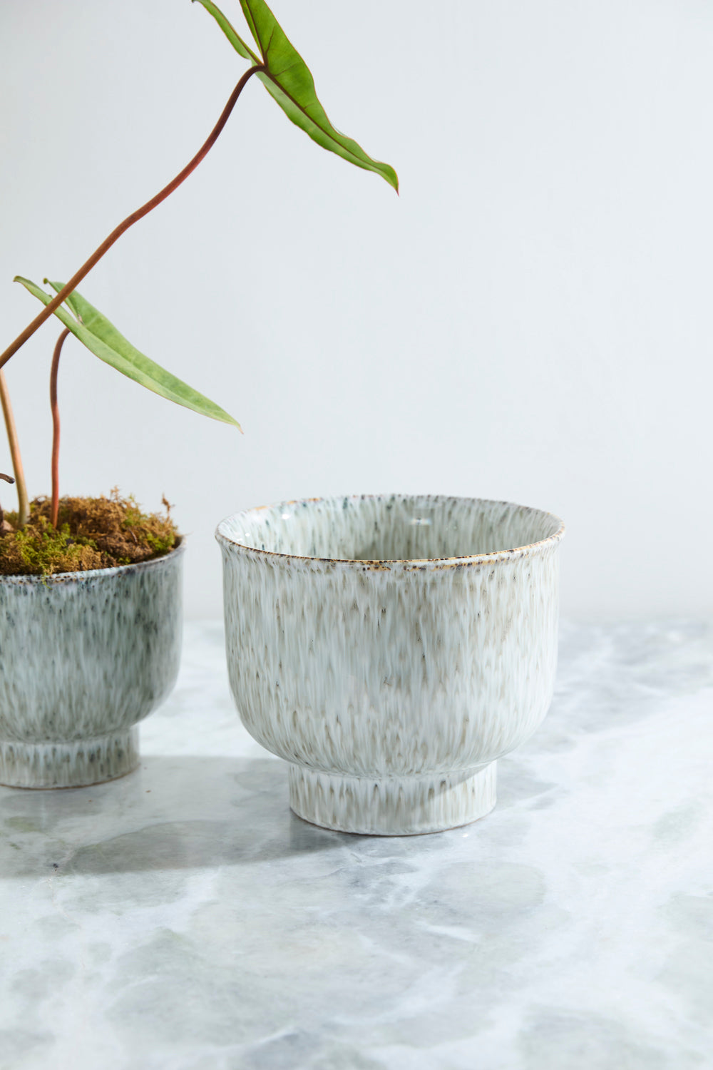 Hayden Pot Set of 2 By Accent Decor | Wall Decor | Modishstore - 8