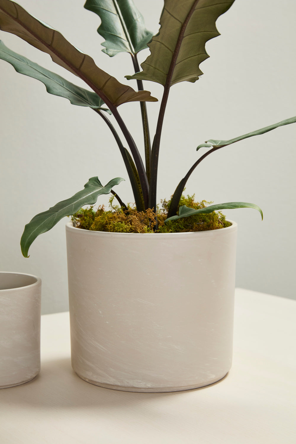 Fulton Pot Set of 8 By Accent Decor | Planters, Troughs & Cachepots | Modishstore - 27