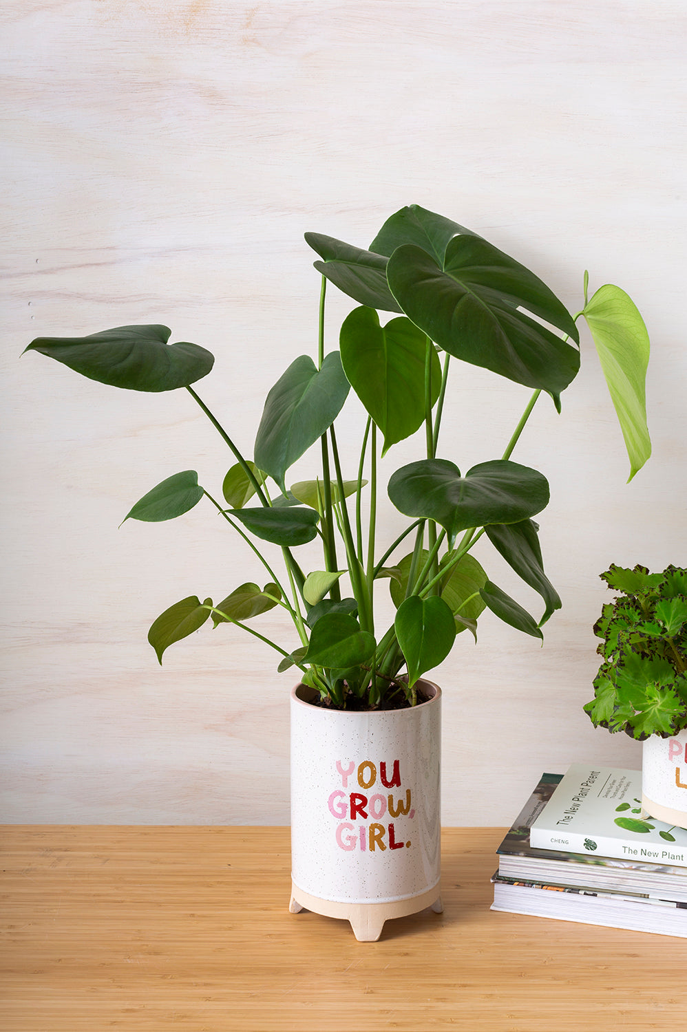 Plant Luv Collection Set of 4 By Accent Decor | Planters, Troughs & Cachepots | Modishstore - 9