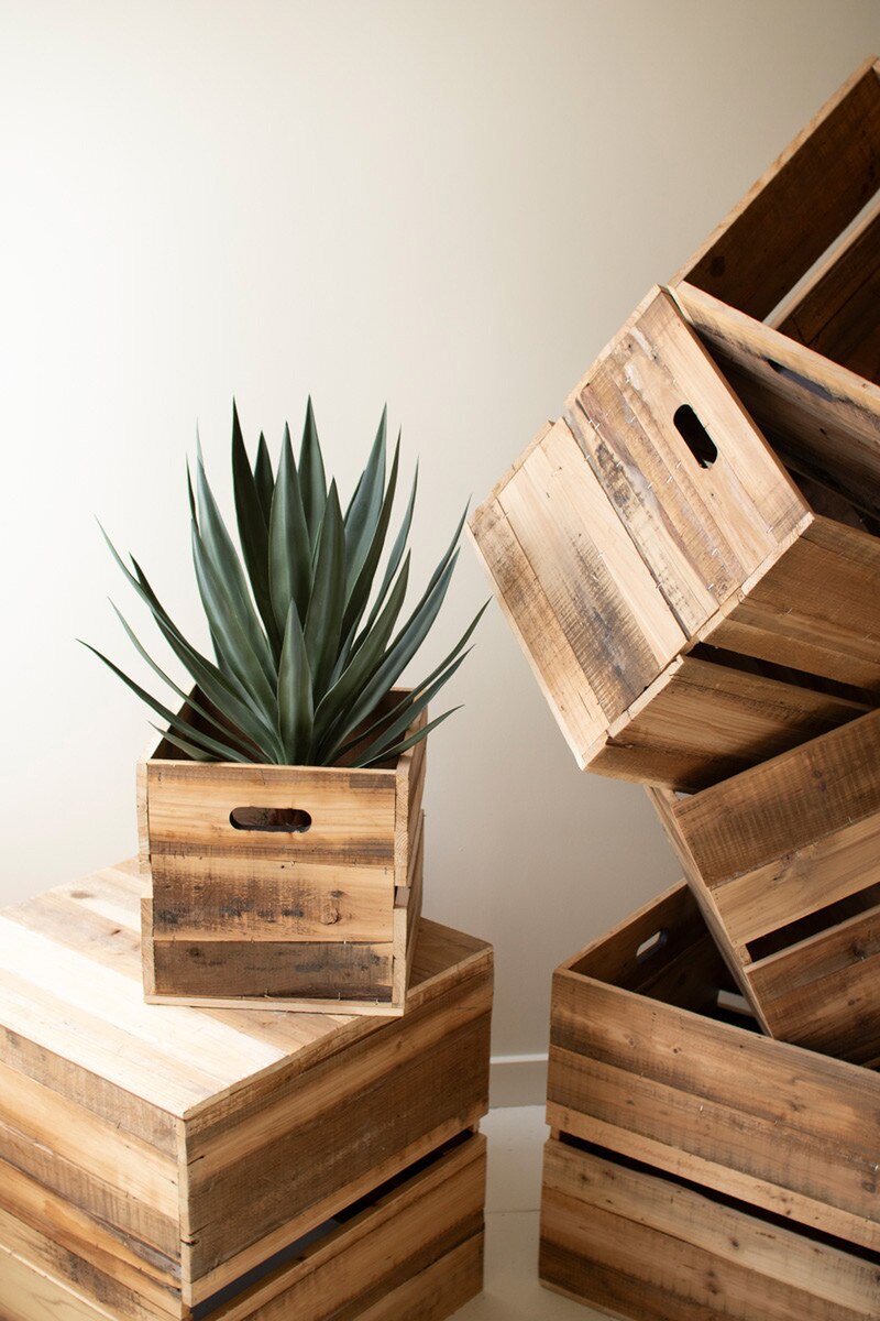 Set Of Six Recyled Pine Display Cubes By Kalalou