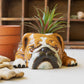 Ceramic Bulldog Planter (Min 2) By Kalalou | Planters, Troughs & Cachepots | Modishstore