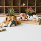 Ceramic Bulldog Planter (Min 2) By Kalalou | Planters, Troughs & Cachepots | Modishstore - 2