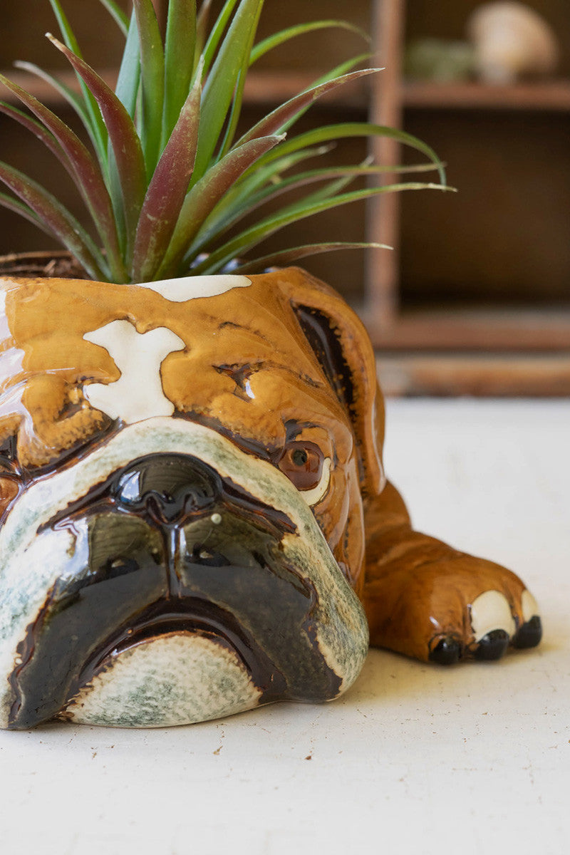 Ceramic Bulldog Planter (Min 2) By Kalalou | Planters, Troughs & Cachepots | Modishstore - 3