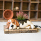 Ceramic Beagle Planter (Min 2) By Kalalou | Planters, Troughs & Cachepots | Modishstore