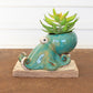 Ceramic Octopus Planter (Min 2) By Kalalou | Planters, Troughs & Cachepots | Modishstore