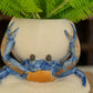 Ceramic Crab Planter (Min 2) By Kalalou | Planters, Troughs & Cachepots | Modishstore - 3