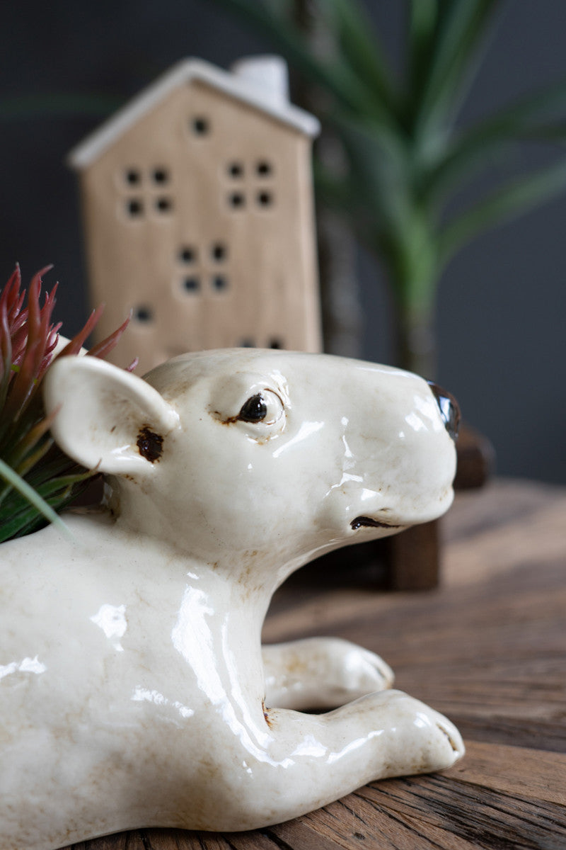 Ceramic Bull Terrier Planter By Kalalou | Planters, Troughs & Cachepots | Modishstore - 4