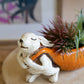 Ceramic Rabbit Pulling A Carrot Planter By Kalalou | Planters, Troughs & Cachepots | Modishstore - 3