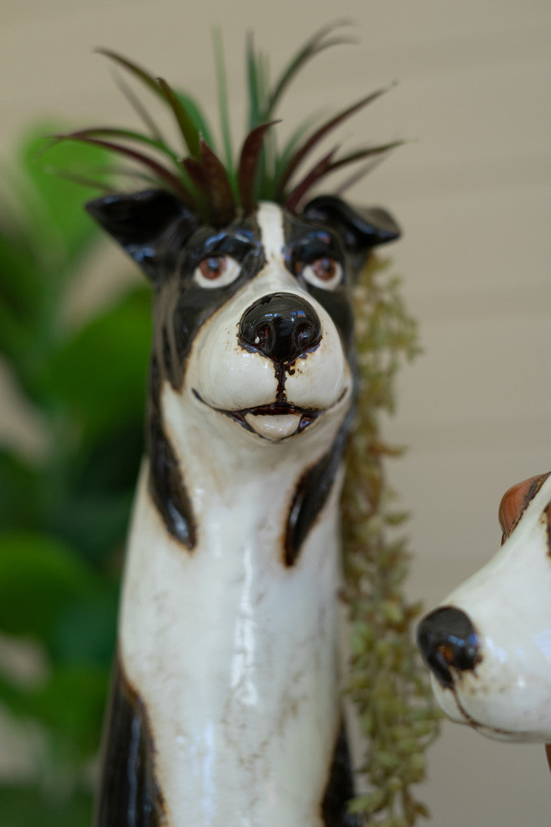 Set Of Two Ceramic Dog Planters By Kalalou | Planters, Troughs & Cachepots | Modishstore - 2
