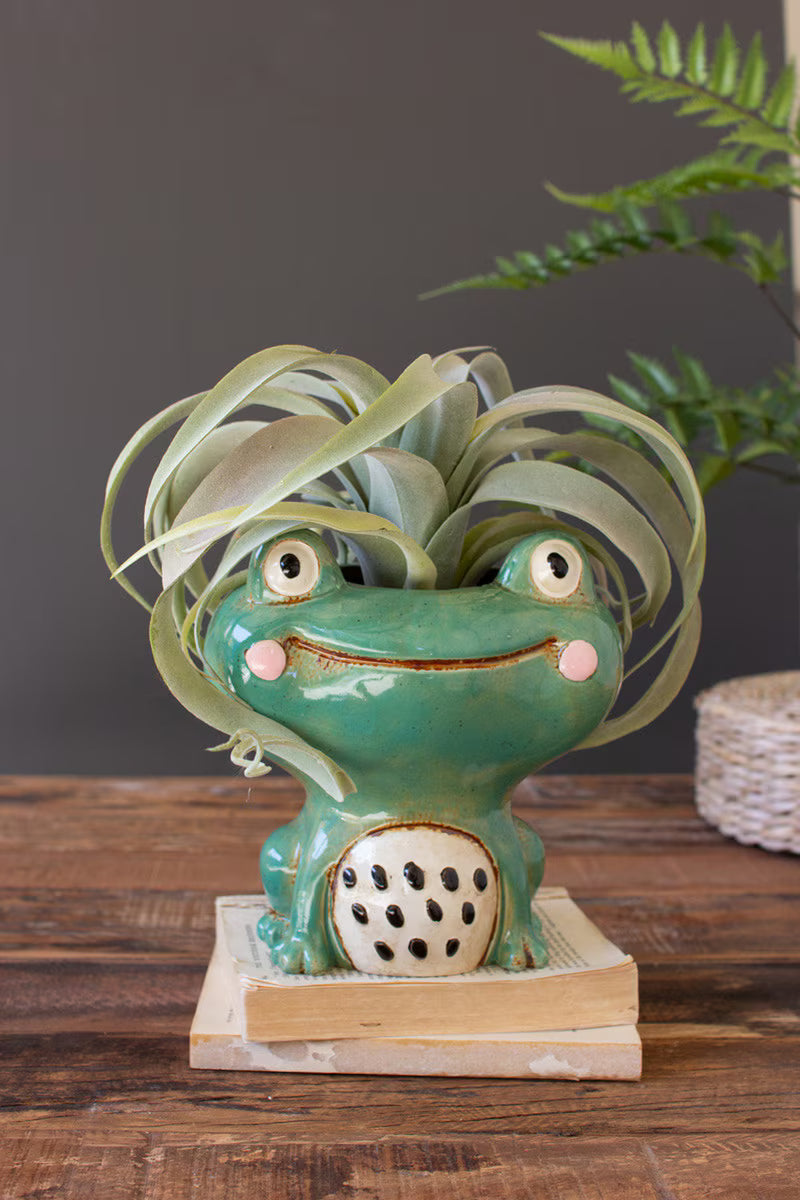 Ceramic Frog Planter (Min 2) By Kalalou