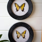 Round Framed Butterfly Prints Under Glass Set Of 4 By Kalalou | Wall Painting | Modishstore - 4