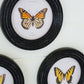 Round Framed Butterfly Prints Under Glass Set Of 4 By Kalalou | Wall Painting | Modishstore - 3