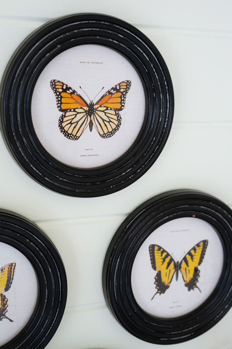 Round Framed Butterfly Prints Under Glass Set Of 4 By Kalalou | Wall Painting | Modishstore - 3